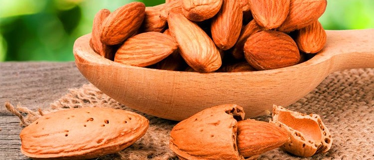 بادام درختی