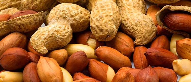 بادام زمینی